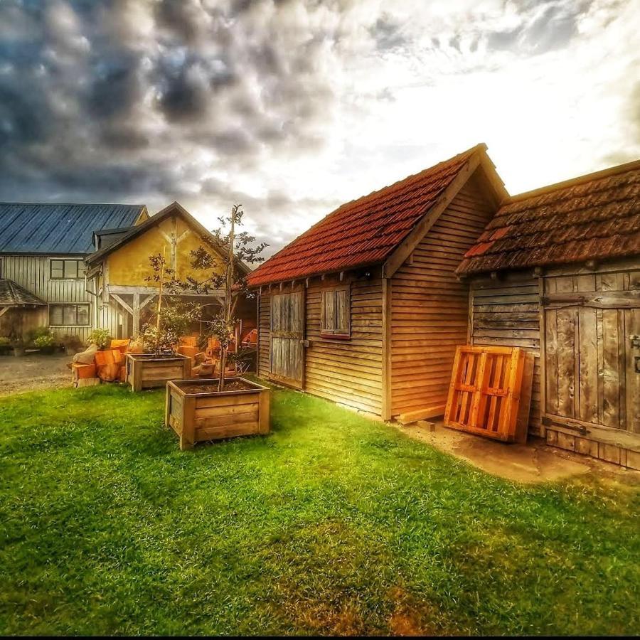 Housewithnonails Bed & Breakfast Matamata Luaran gambar
