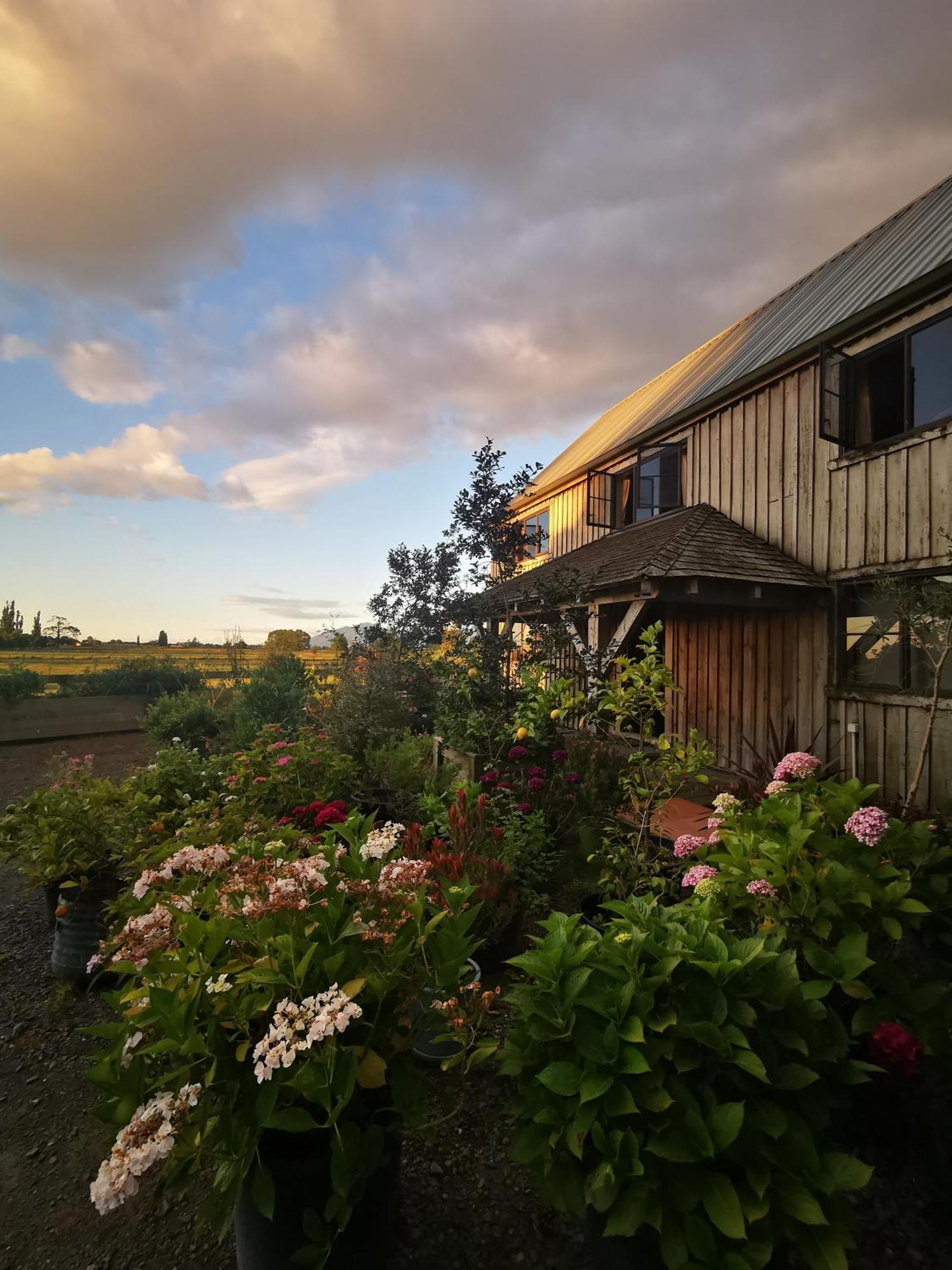 Housewithnonails Bed & Breakfast Matamata Luaran gambar